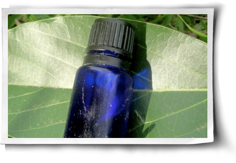 3 Essential Oils For Your Herbal Medicine Cabinet Post - Bathroom Cabinet (500x344), Png Download