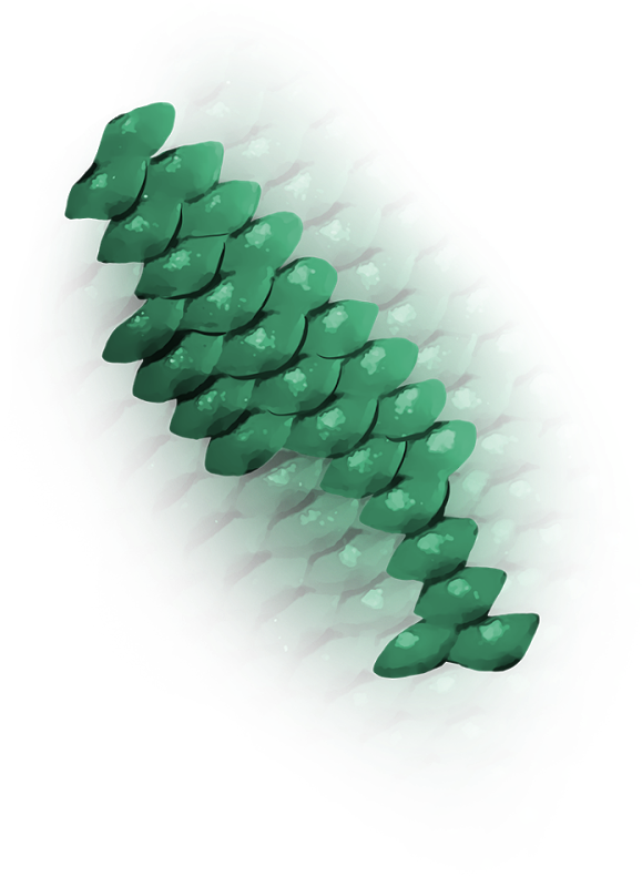 Must Follow N Share - Crocodile (1600x900), Png Download