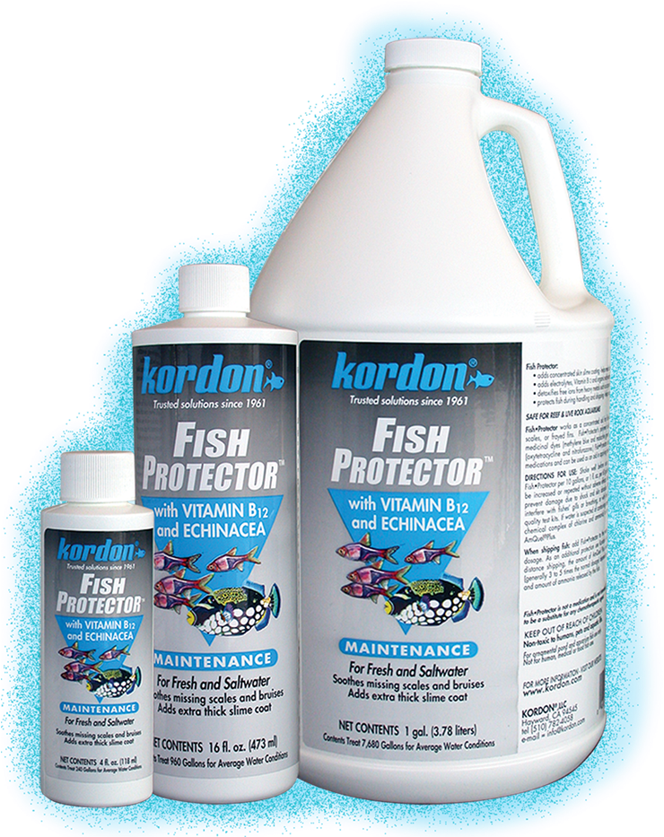 Fish Protector™ - Kordon #31456 Fish Protector For Aquarium, 16-ounce (750x939), Png Download