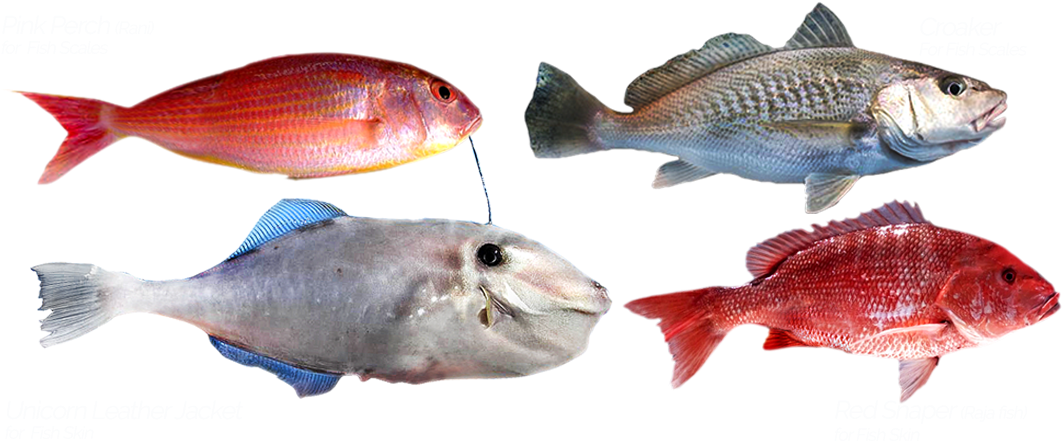 Product Was Successfully Added To Your Shopping Cart - Red Snapper (1140x500), Png Download