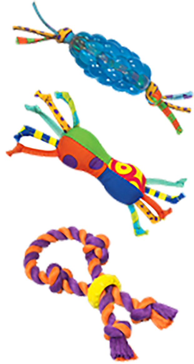 Mini Dental Chew Dog Toy Pack By Petstages - Mini Dental Chew Dog Toy Pack By Petstages - One Size (1200x1200), Png Download
