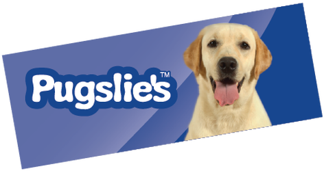 Bright, Affordable, Mixed Media Dog Toys We Are Continuously - Labrador Retriever (523x323), Png Download