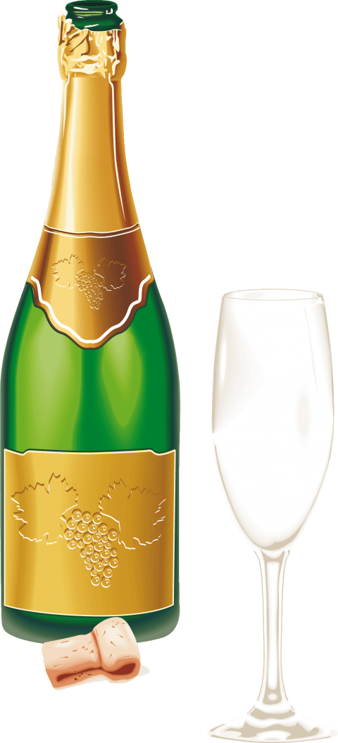 Free Png Sparkling Wine From A Bottle Png Images Transparent - White Wine Bottle And Glass Png (480x1055), Png Download