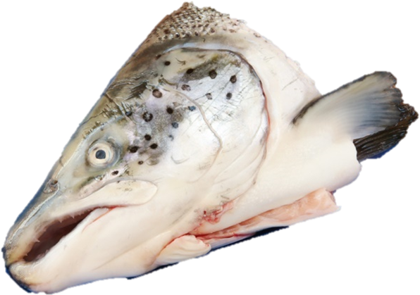 Голова Лосося Png (734x490), Png Download
