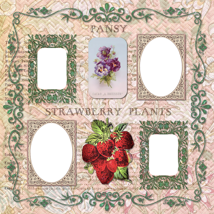 Scrapbook Scrap Elements Embellishment - Scrapbooking (720x720), Png Download