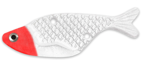 Pomacentridae (768x480), Png Download