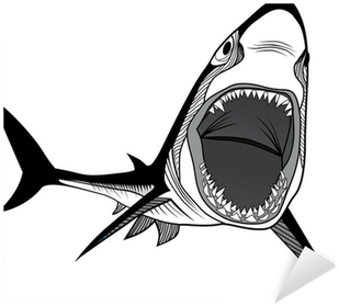 Shark (400x400), Png Download