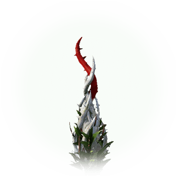 White Tree Thorn Vine - Macro Photography (360x360), Png Download