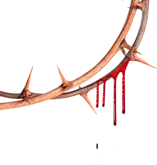 Download Thorns Vines Roses Flowers Flores Blood Dripping Meltin - Blood PNG  Image with No Background - PNGkey.com