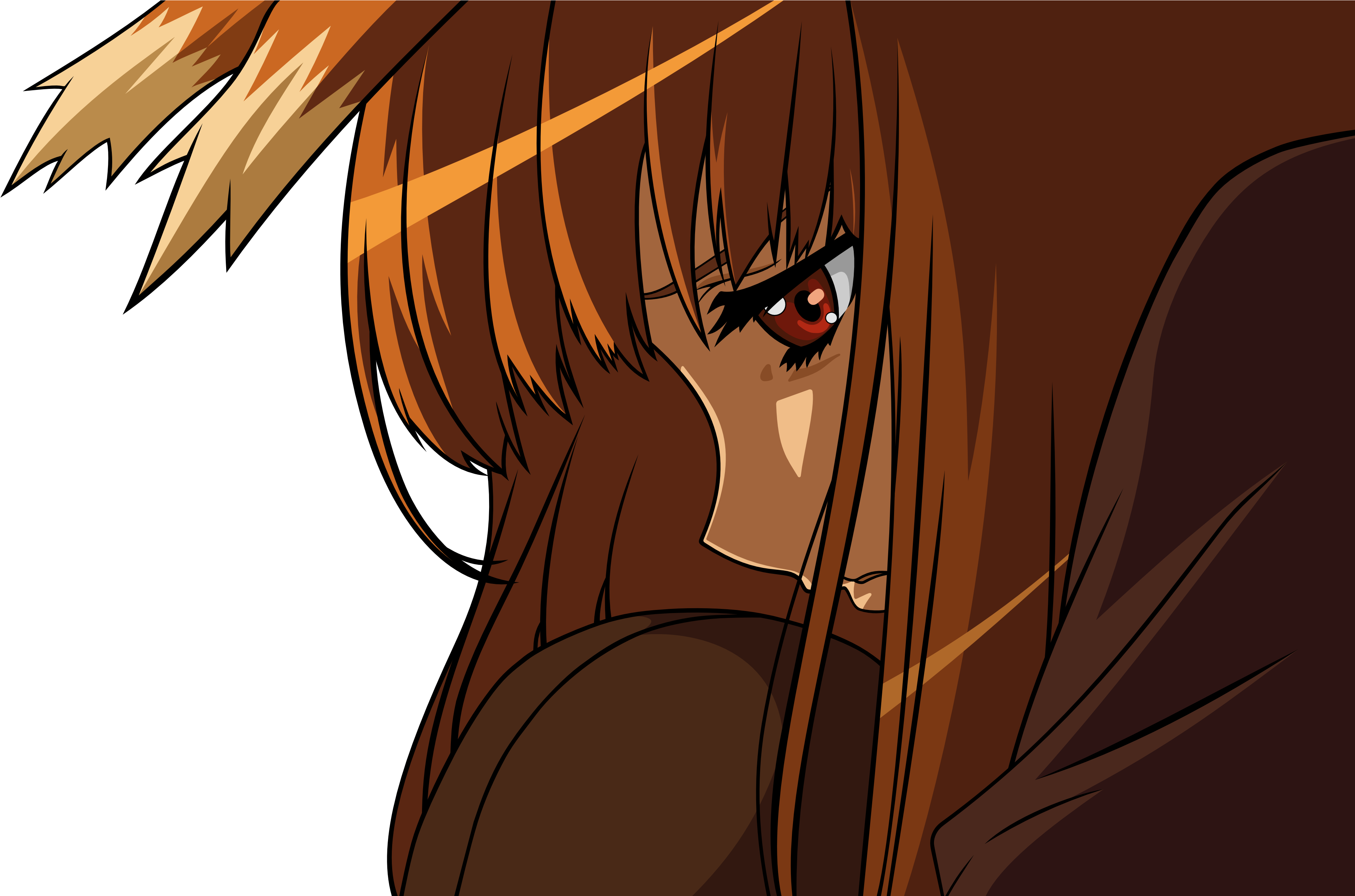 Download Png - Spice And Wolf Holo Sad (4260x2580), Png Download