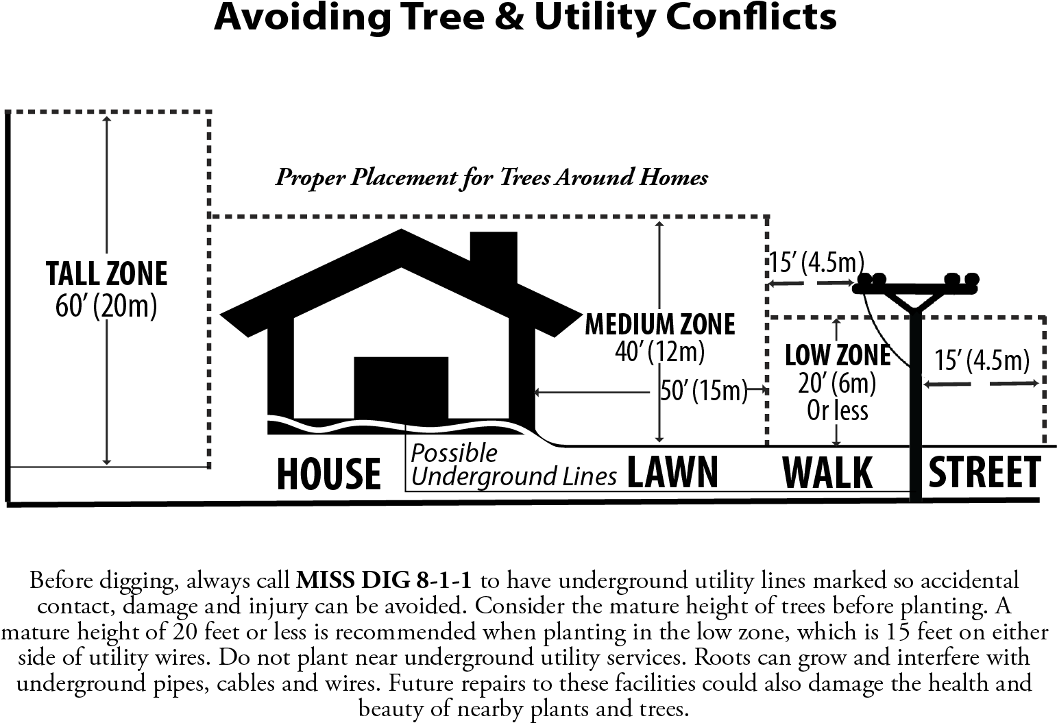Grand Haven Board Of Light And Power 1700 Eaton Drive - Tree (1542x1148), Png Download