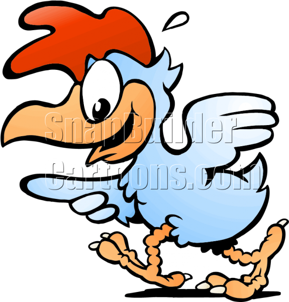 Gallina (600x600), Png Download