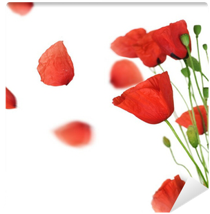 Poppy With Flying Petals Over White Wall Mural Pixers - Poppie Petals (400x400), Png Download