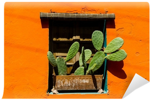 Mexican Style Window With Cactus Wall Mural • Pixers® - Window (400x400), Png Download