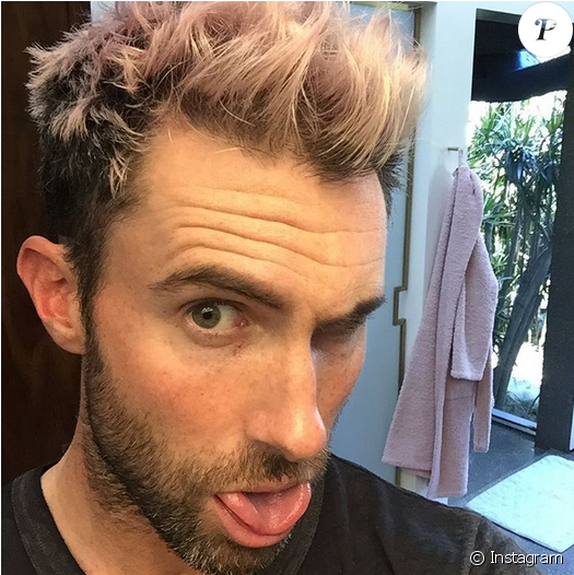 Download Adam Levine S Est Teint Les Cheveux En Rose Guys With