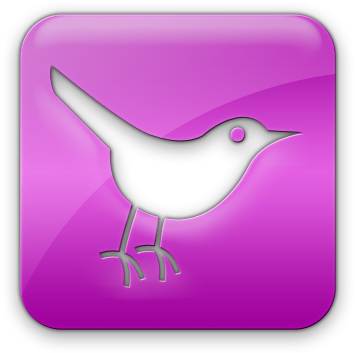 Green Twitter Bird (420x420), Png Download