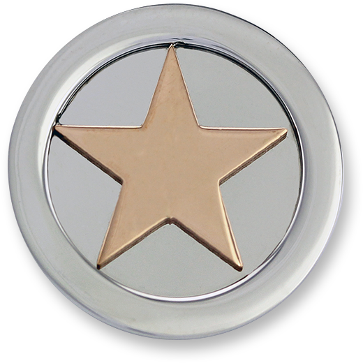 3d Star Stainless Steel Rosegold Plated - Steel (600x600), Png Download