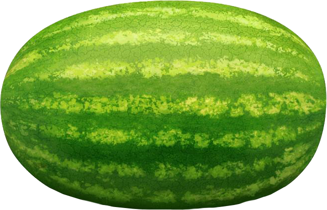 Watermelon - Long Watermelon (659x423), Png Download