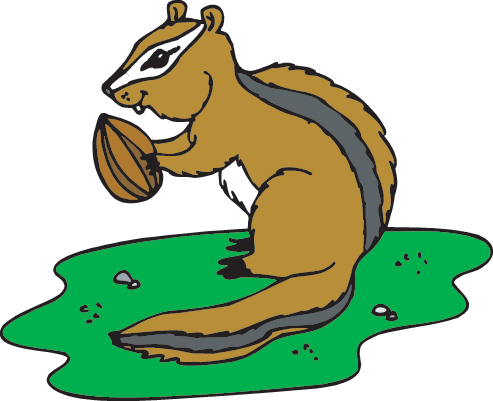 Forest Animals - Chipmunk (493x401), Png Download