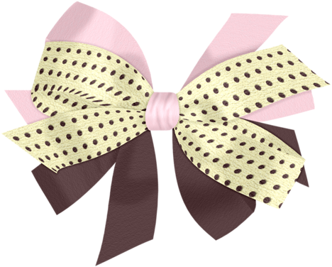 Lacarolita Brown Sugar Bow4 - Polka Dot (500x500), Png Download