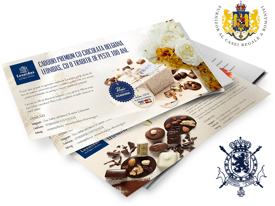 Leonidas Campaign - Flyer (985x750), Png Download