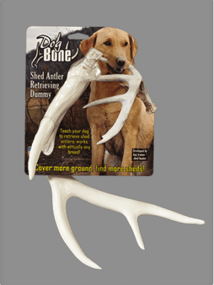 Dog Bone™ Antler Dummy - Dog Bone Shed Dummy Retrieving Antler By Dog & (300x400), Png Download