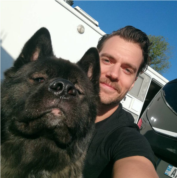 Henry Cavill Pose Avec Son Chien, Kal-el, Un Sublime - Henry Cavill Kal El (950x595), Png Download