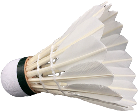 Wholesale Fleet Badminton Shuttlecock From Manufacturer - Badminton (750x750), Png Download