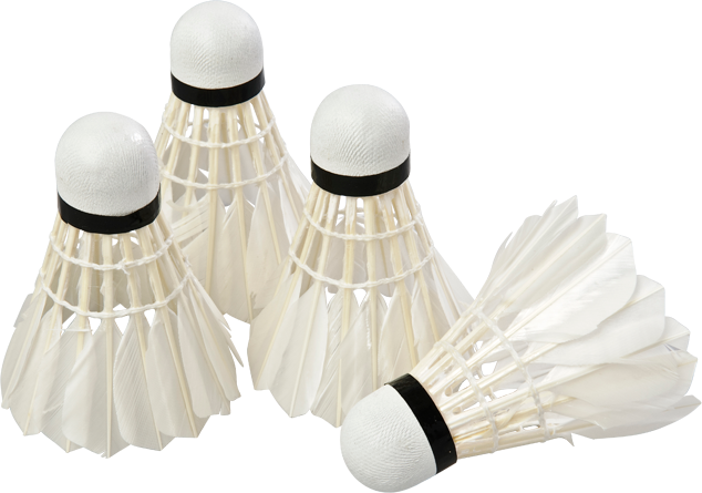 Raboltar 4 Stk - Outra Sport Fjerbolde (634x445), Png Download