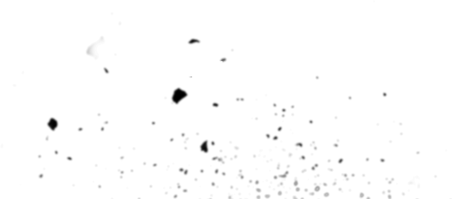 Learn More - Bird (2560x709), Png Download
