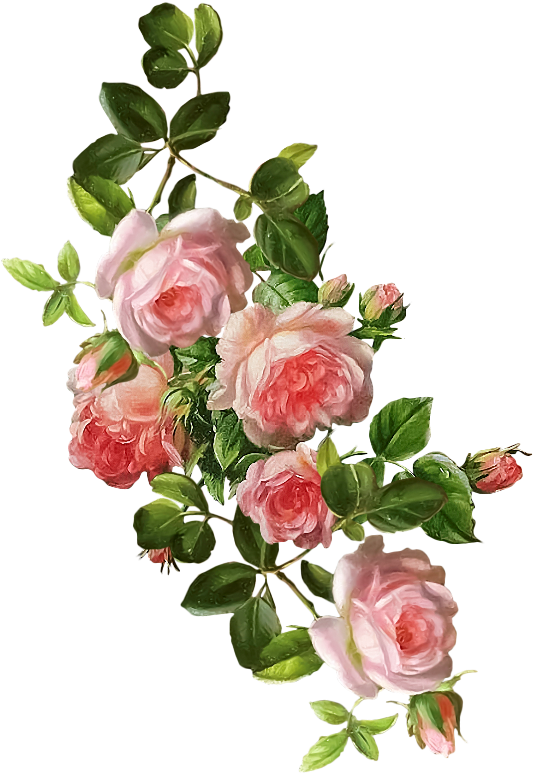 Фото, Автор Lady - Beautiful Happy Birthday Mom (550x794), Png Download