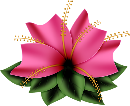 Imagenes Para Diseñar Marcos Para Fotos - Have A Wonderful Wednesday (544x444), Png Download