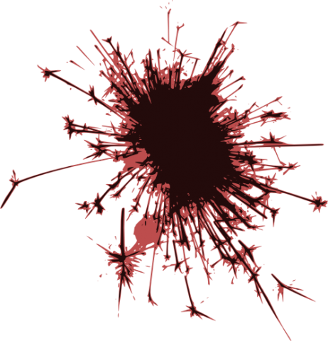 Fireworks - Sea Urchin (462x480), Png Download