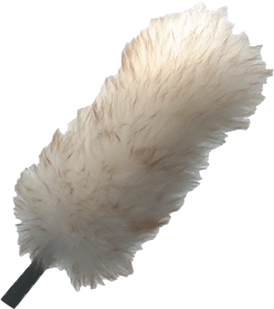More Views - Transparent Feather Duster Png (502x501), Png Download