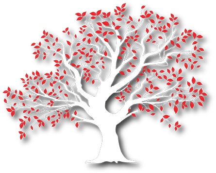 Redtree Photography - Photography (452x360), Png Download