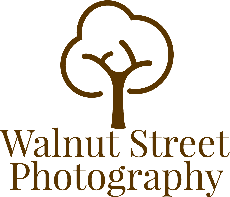 The Knot - Building Literacy Piece By Piece Quick By Elaine K. (991x826), Png Download