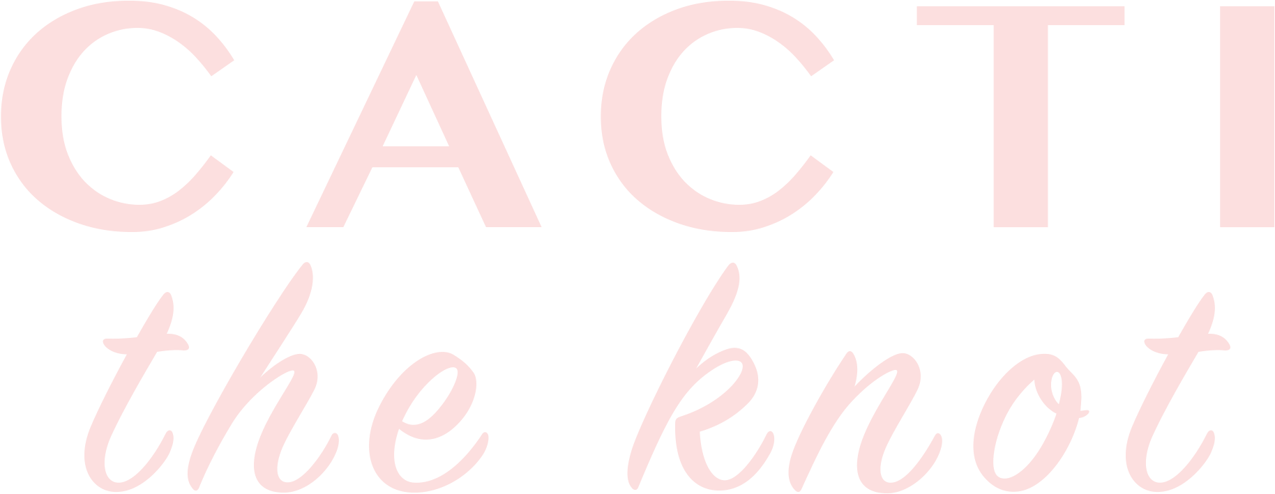 Logo - Cactus (2400x2400), Png Download