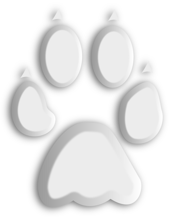 Footprint Paw Black And White Drawing - Drawing (584x750), Png Download