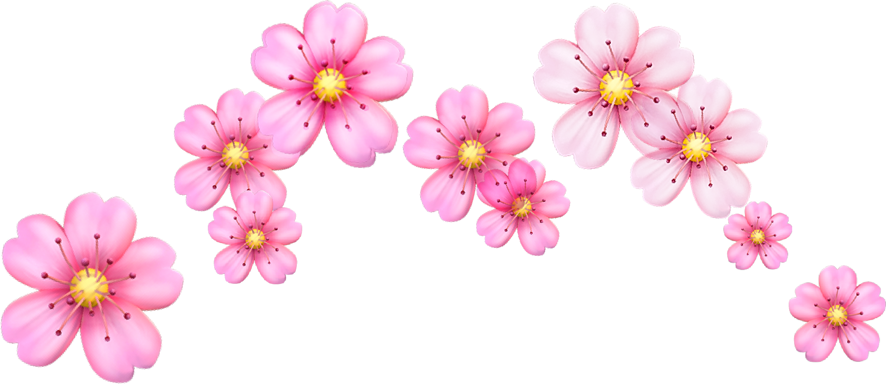Report Abuse - Cherry Blossom Flowers Emoji (1803x782), Png Download
