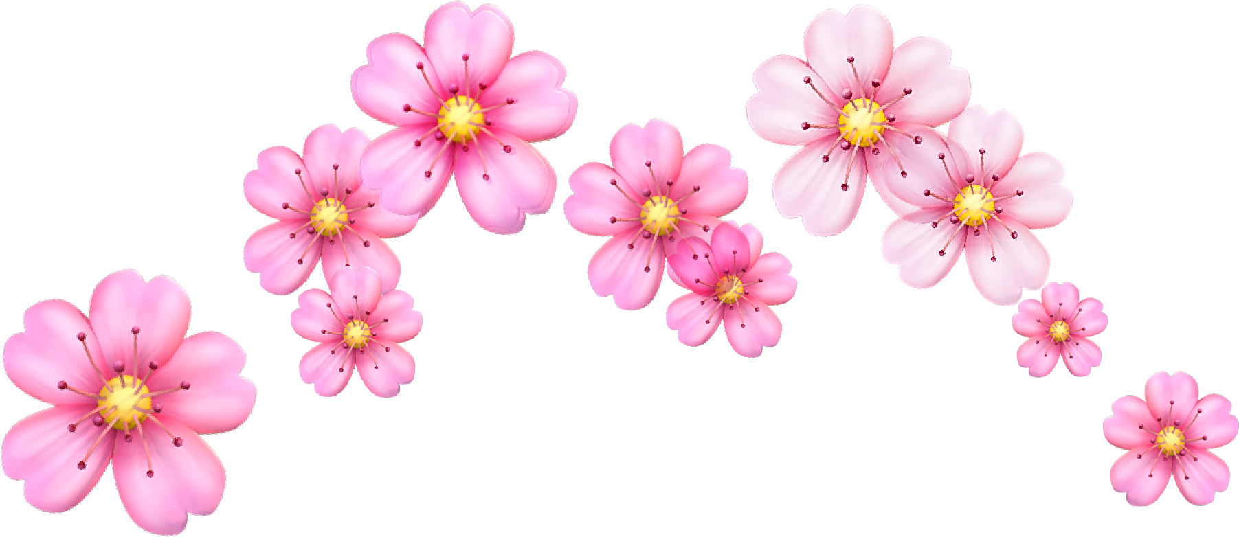 Download Report Abuse Cherry Blossom Flowers Emoji PNG Image with No