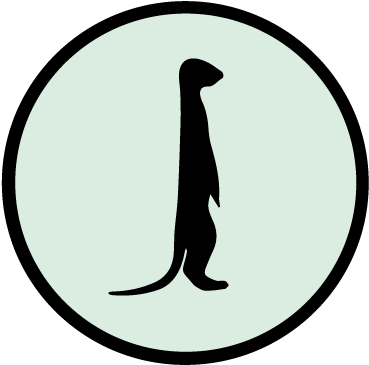 Meerkat Png (792x612), Png Download