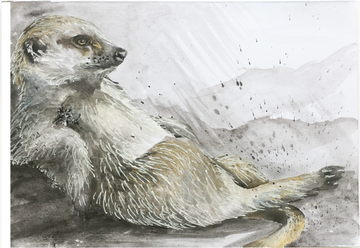 Meerkat (1500x1500), Png Download