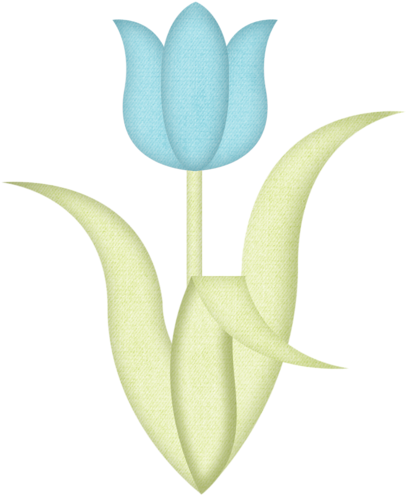 Kristiw Sweetspring Tulip3 - Flower (418x500), Png Download