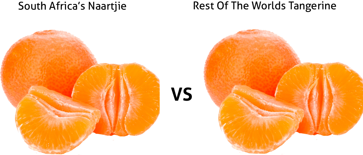 Tangerine Clipart Naartjie - Naartjie Fruit South Africa (1207x516), Png Download