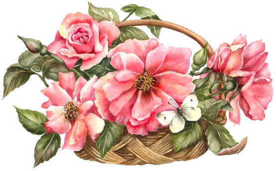 Flowers / Png - Drawing (554x344), Png Download
