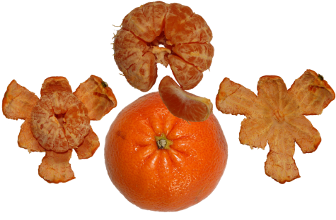 C,juicy,organic,ripe - Tangerine (500x333), Png Download