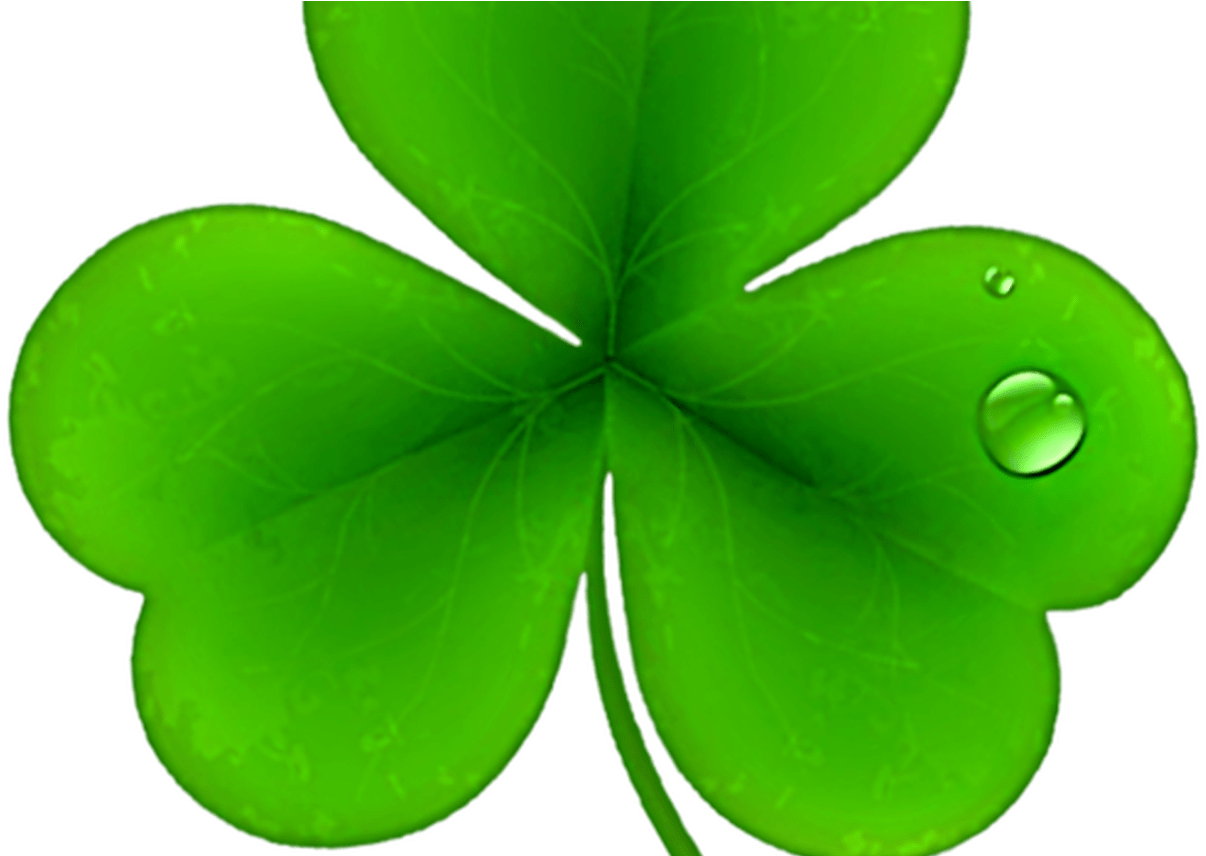 Shamrocks Clip Art Patricks Day Png St Patricks Day - Shamrock (1368x855), Png Download