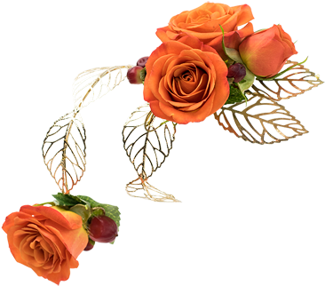 Tangerine Arm Band Corsage - Jacobsen's Flowers, Inc. (368x460), Png Download