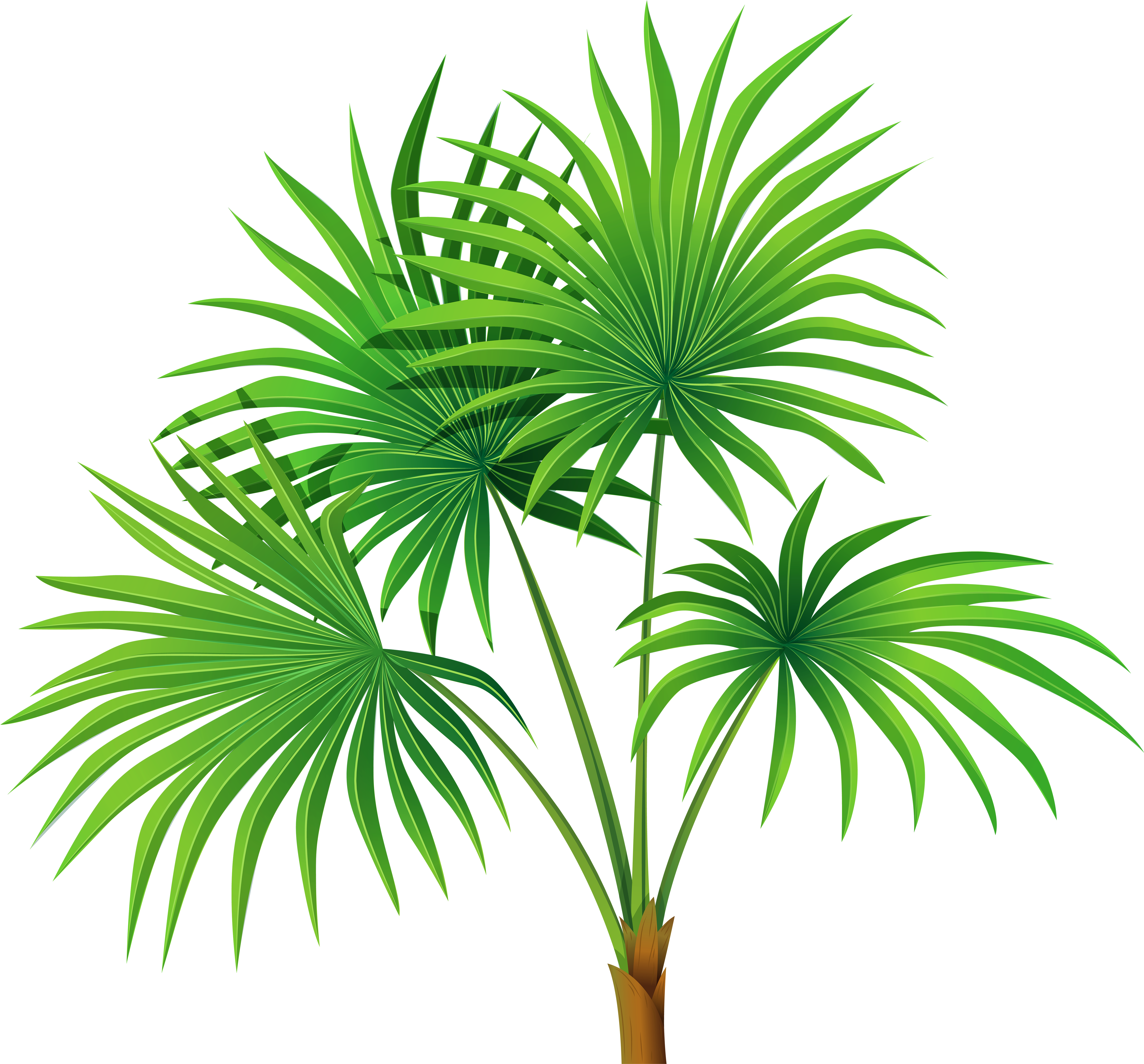 Palm Tree Leaves Clipart (6000x5580), Png Download