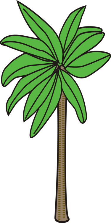 Palm Trees Date Palm Plants Flowering Plant - Desain Gambar Pohon Kurma (375x750), Png Download